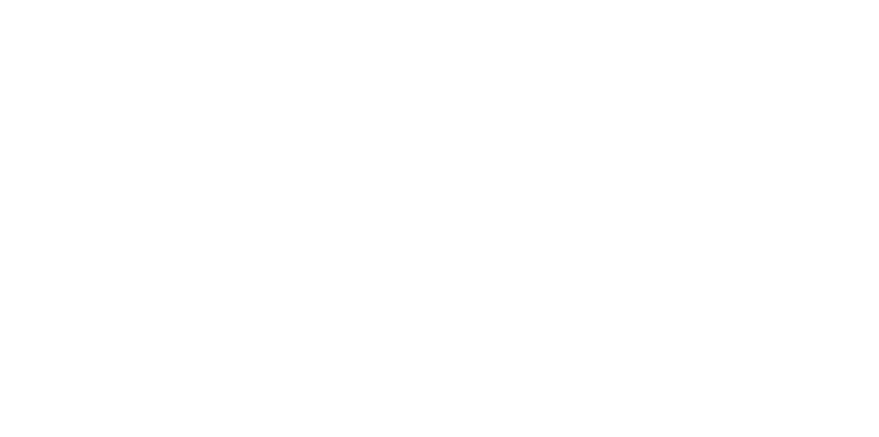 The Sisters Brothers